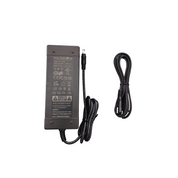 δ S4 Young Charger