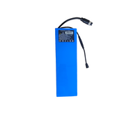 δ S4 Young Battery