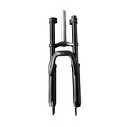 δ S4 Young Front Fork
